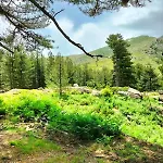 Bergerie Restauree