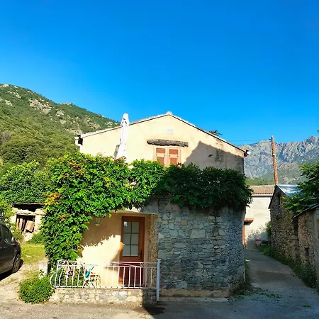 Bergerie Restauree Corte (Corsica)
